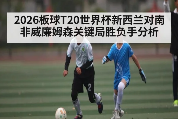 2026板球T20世界杯新西兰对南非威廉姆森关键局胜负手分析