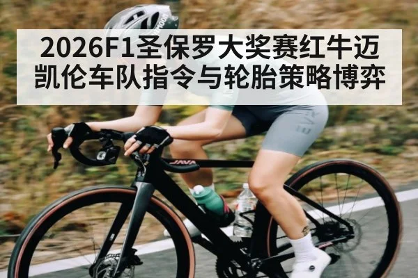 2026F1圣保罗大奖赛红牛迈凯伦车队指令与轮胎策略博弈